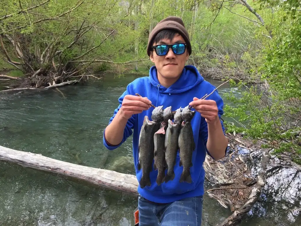 A stringer of trout caught from Convict Creek