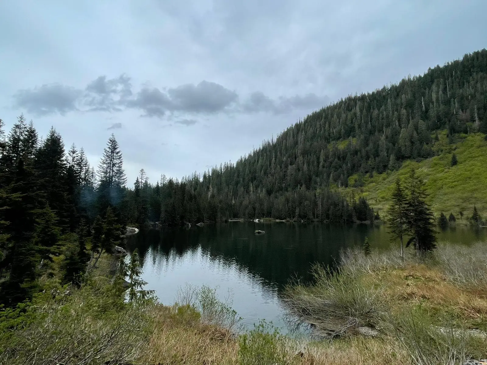 Heather Lake Back