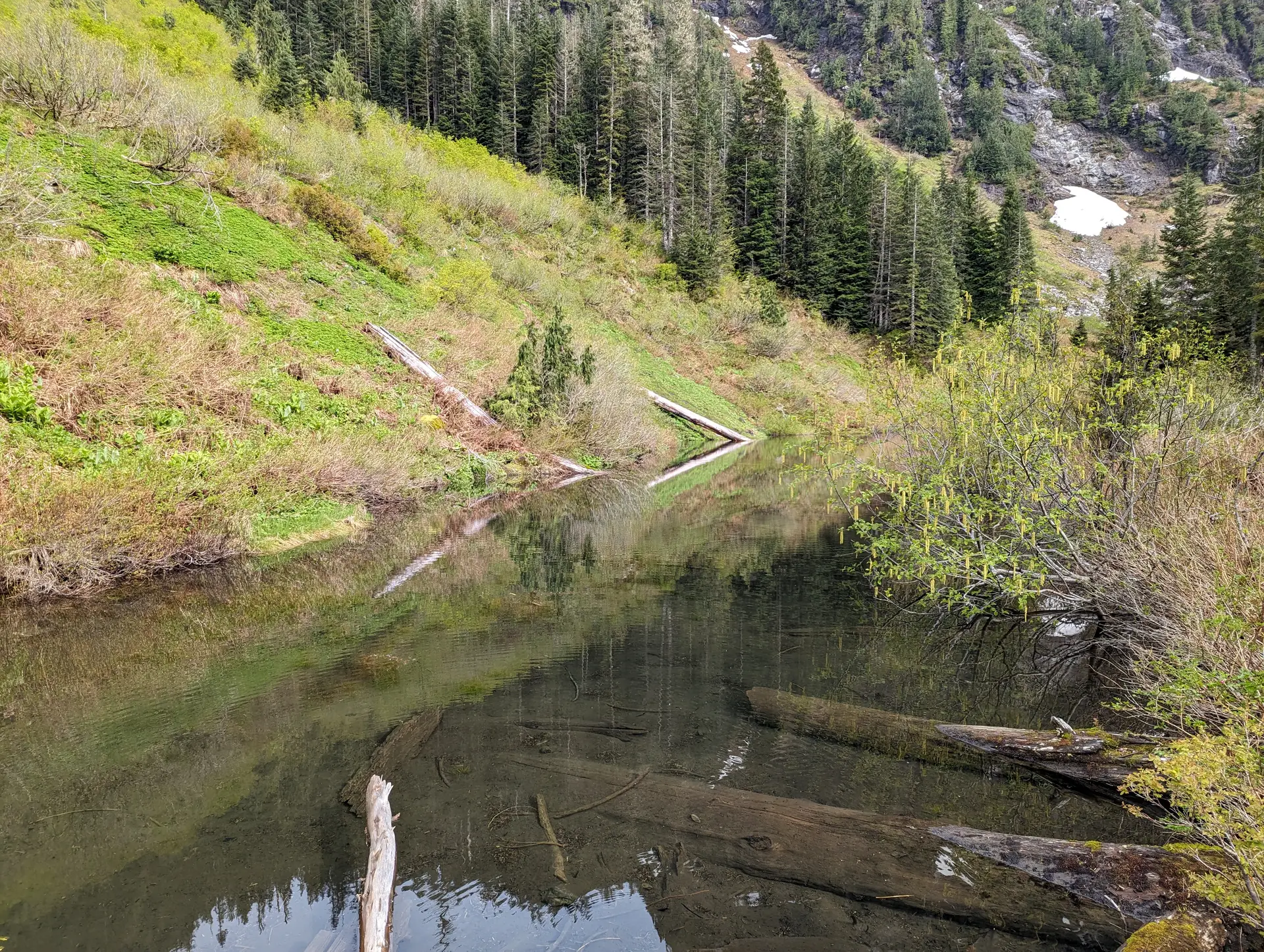 Heather Lake Spot