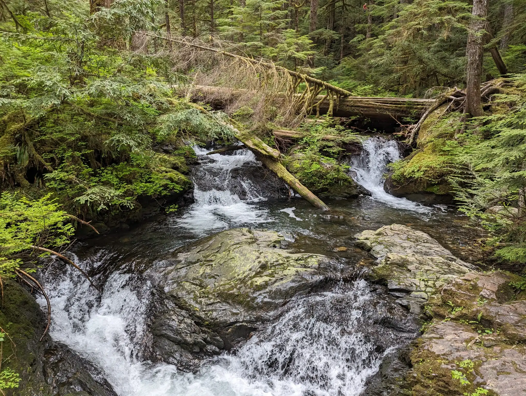 First waterfall