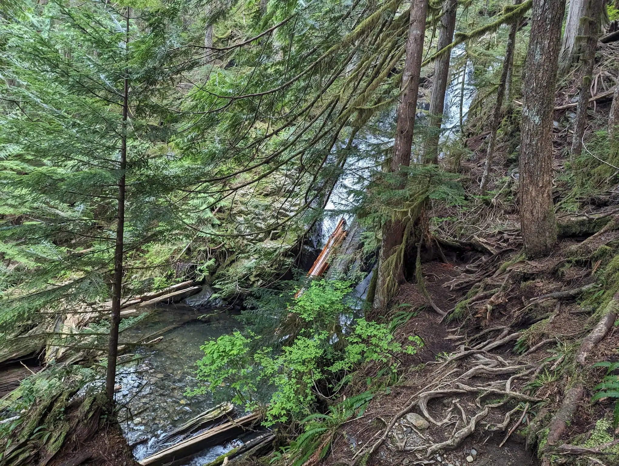 Waterfall through the trees.