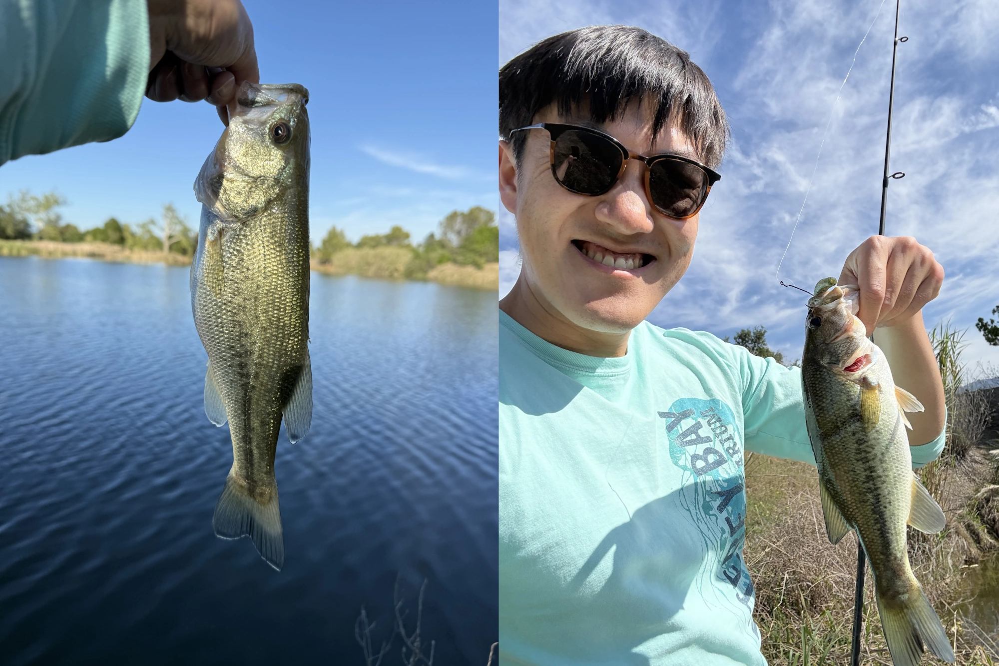 Some LGC bass caught on a Z-man Zinkerz
