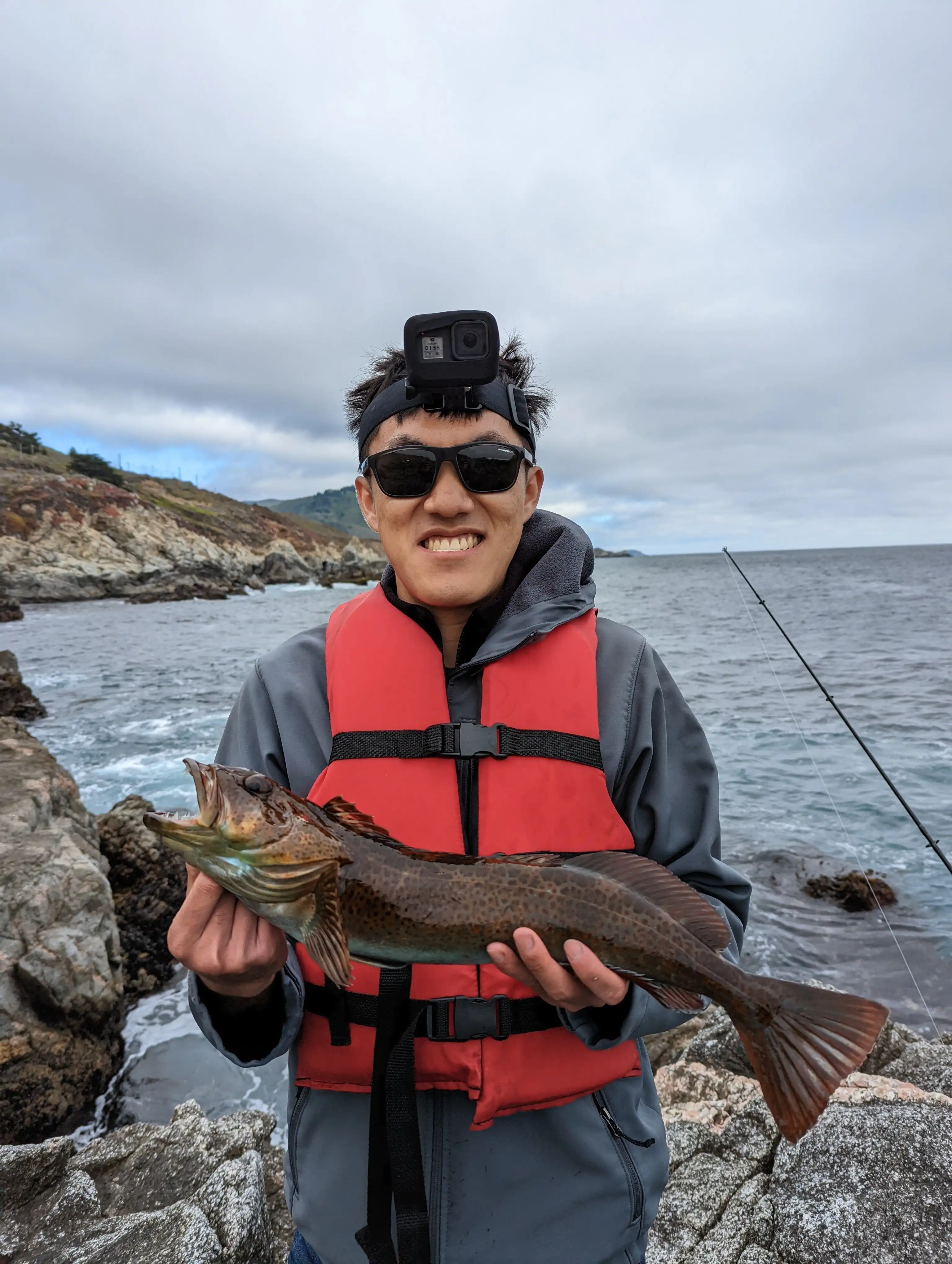 A lingcod