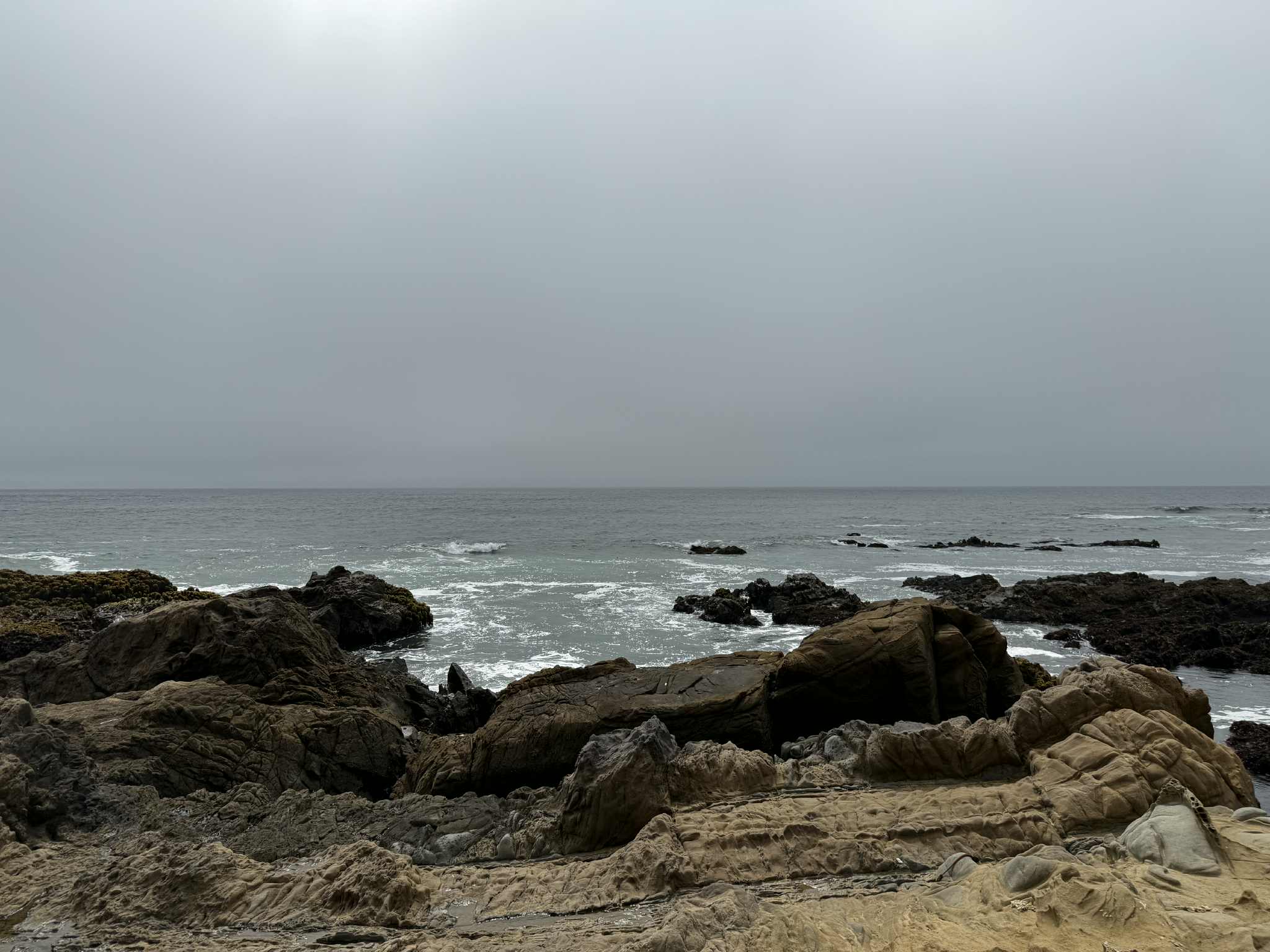 A calm moment at Bean Hollow State Beach